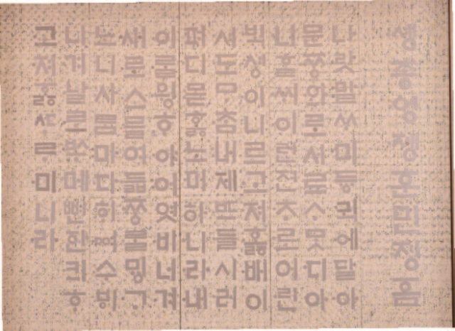 백금남, <훈민정음>