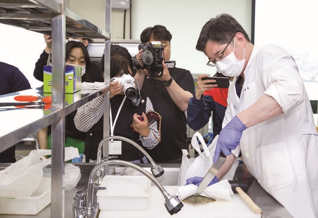 수품원 부산지원 연구사들이 방사능 분석에 필요한 시료를 확보하기 위해 강도다리를 전처리하고 있다. 사진 C영상미디어