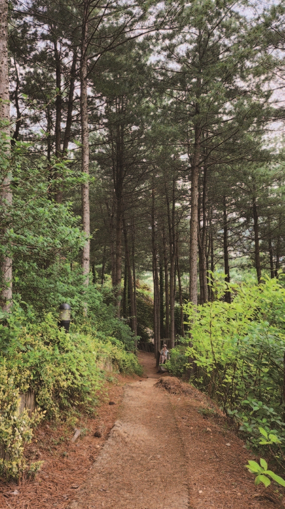아름다운정원 화수목에는 산책로가 있어 취향에 따라 골라 걸을수 있다.
