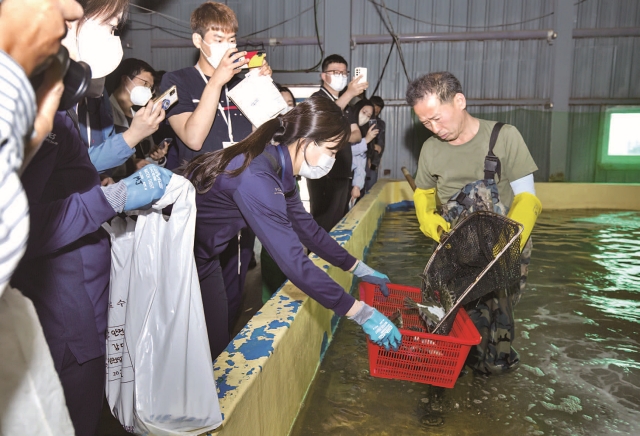 해양수산부는 2023년 3월부터 수산물안전국민소통단을 운영하고 있다. 사진은 지난 5월 22일 국민소통단이 부산 기장군에 있는 강도다리 양식장을 찾아 현장 활동을 하고 있는 모습. 사진 C영상미디어