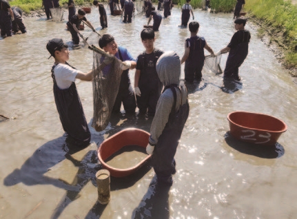 충남 태안 매화둠벙마을
