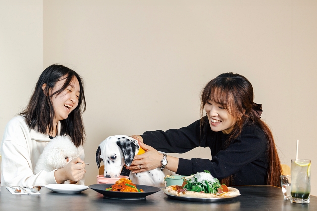 국내 최초로 반려동물 동반 식당 시범사업 업체로 선정된 트라토리아 디 코코(경기도 의왕시)에서는 ‘반려동물 전용메 뉴’를 제공한다