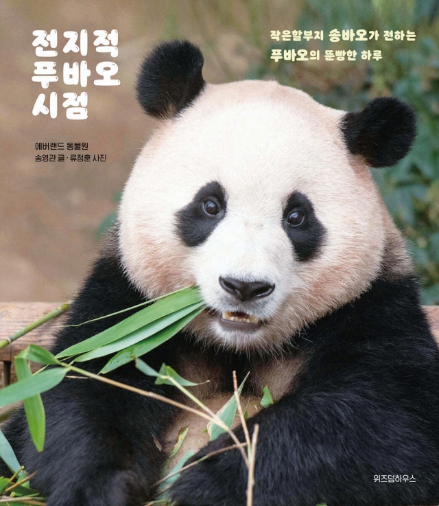 도서 전지적 푸바오 시점