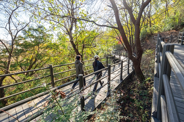 보행 약자도 불편 없이 오갈 수 있는 나무 데크길로 조성됐다.