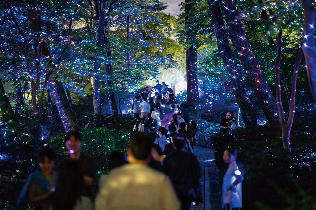 올해 6월 진행한 ‘청와대 밤의 산책’에서 관람객들이 숲을 거닐고 있다. 사진 문화체육관광부