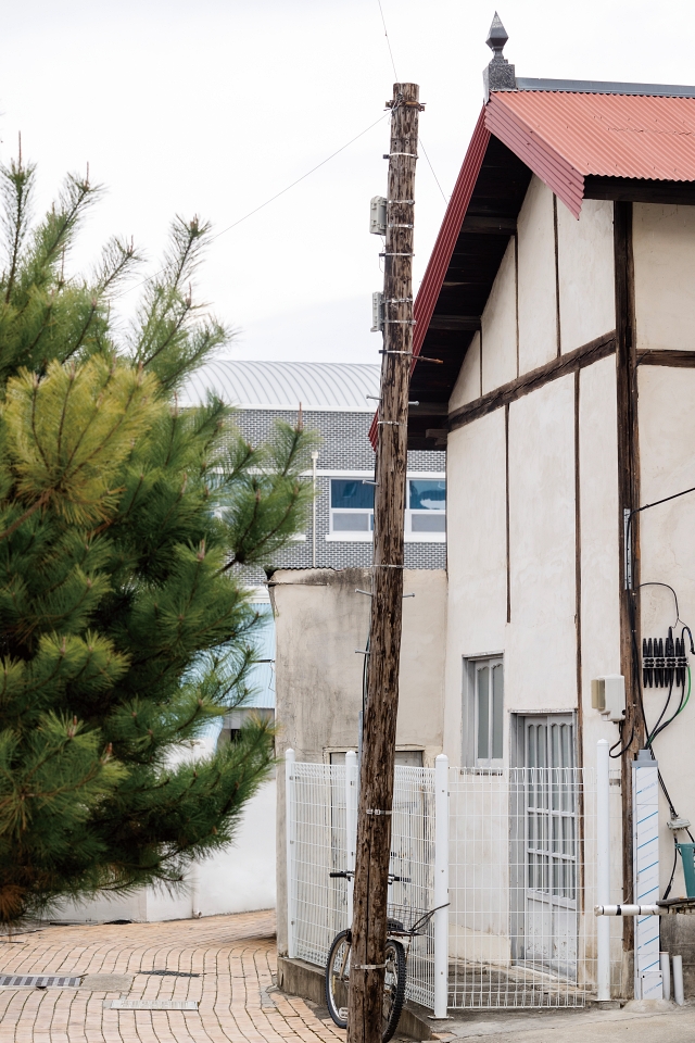 옛 공주읍사무소 맞은편의 나무전봇대는 일부러 보러 오는 관광객들이 있을 정도로 유명하다.