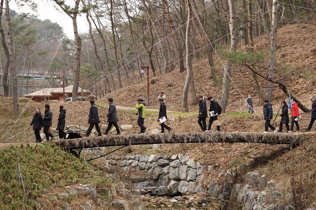 사진 산림청