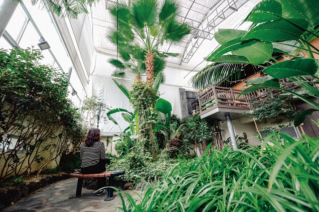 시장을 찾은 고객을 위한 쉼터이자 열대 식물 가득한 이국적인 식물원. 사진 C영상미디어
