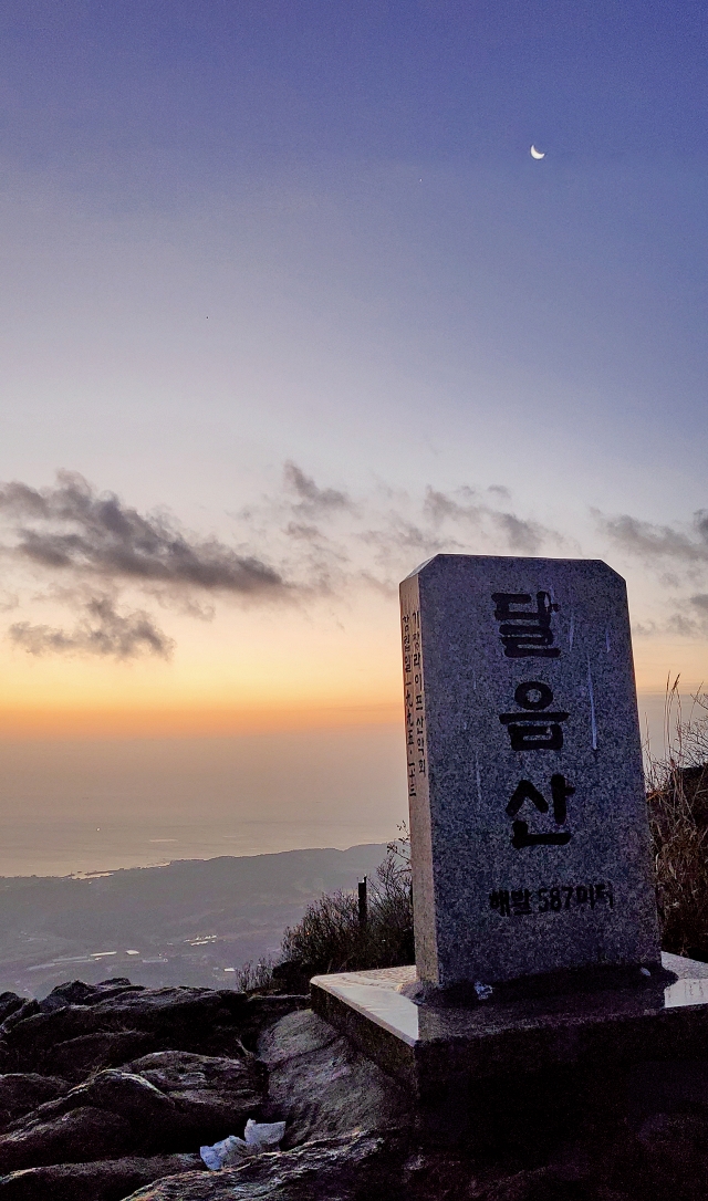 김해정 