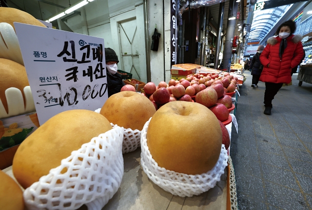 정부는 사과·배를 비롯한 16대 주요 성수품 공급 물량을 역대 최대인 26만 톤까지 늘려 수급 안정을 유도한다. 사진은 1월 16일 서울 동대문구 청량리종합시장의 한 상점에 진열돼 있는 배와 사과. 사진 뉴시스