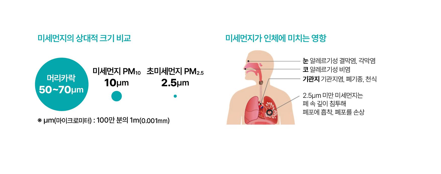 자료 환경부