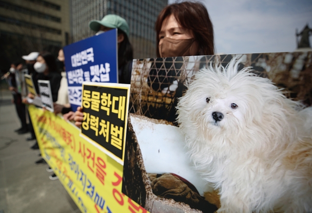 한국동물보호연합 관계자 등이 2023년 3월 서울 종로구 광화문광장에서 국제 강아지의 날을 맞아 강아지 공장 폐쇄 촉구 기자회견을 하고 있다. 사진 뉴시스