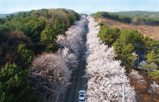 사진 여주시청