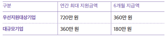지원금액 기업별 지원금액 정보