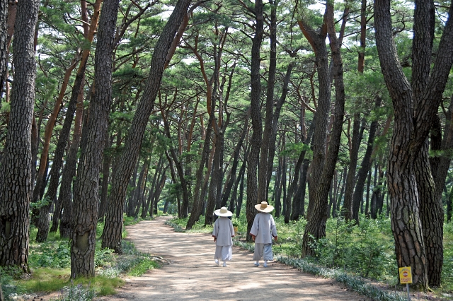 청도 운문사