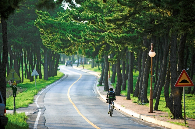 사진 한국관광공사 포토코리아-김지호