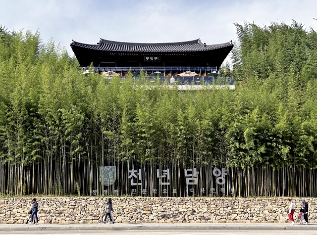 대나무마을이라 불리는 담양에서도 명품 대숲으로 유명한 죽녹원.