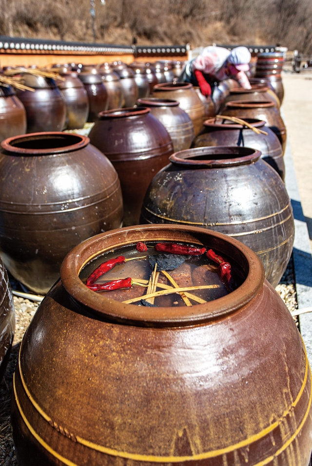 항아리에 메주와 고추&middot;대추&middot;숯을 넣은 다음 소금물로 채우고 메주가 뜨지 못하게 대나무로 막아 뚜껑을 덮어두면 두 달 뒤 된장과 간장으로 가를 수 있게 된다. 사진 조선일보DB