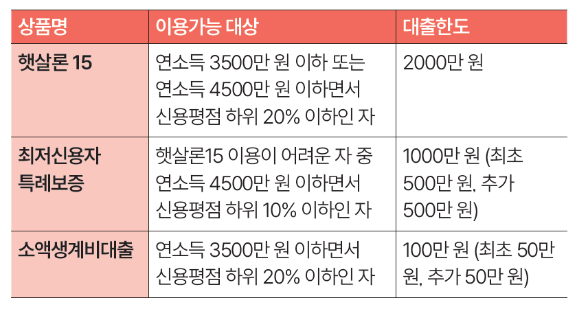 맞춤형 정책서민금융 상품