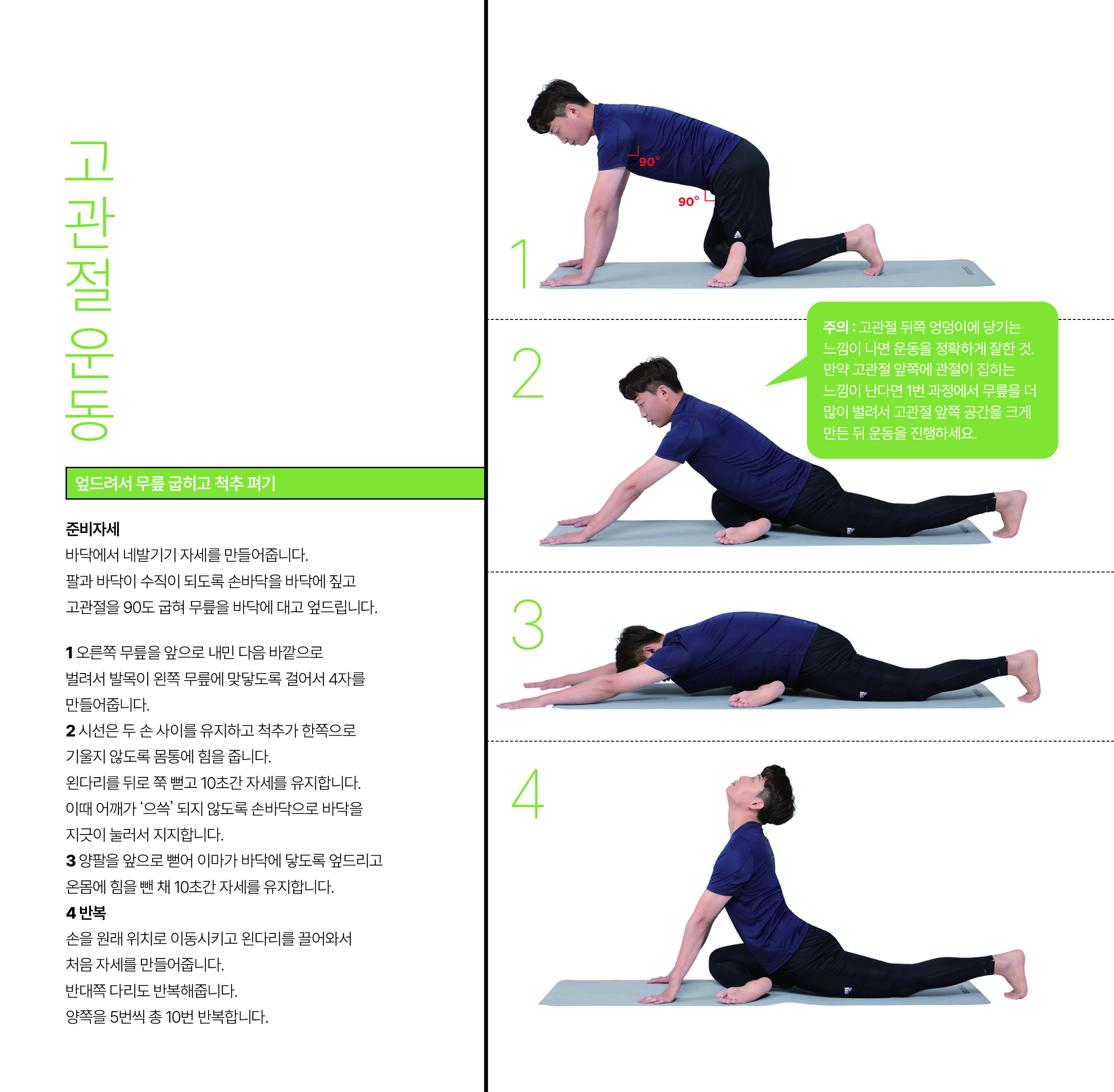 건강&운동