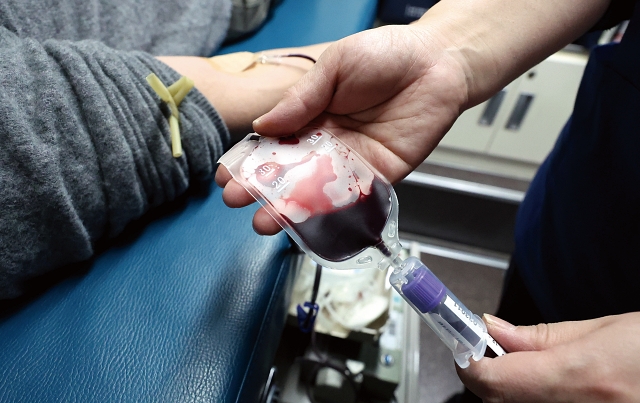 보건복지부는 최근 연구 결과와 해외 사례를 반영해 변종 크로이츠펠트- 야콥병(vCJD, 일명 인간 광우병)이 발생국인 영국 등 유럽 국가에 일정 기간 체류한 이들에게 적용했던 헌혈 금지 기준을 완화했다. 사진 뉴시스