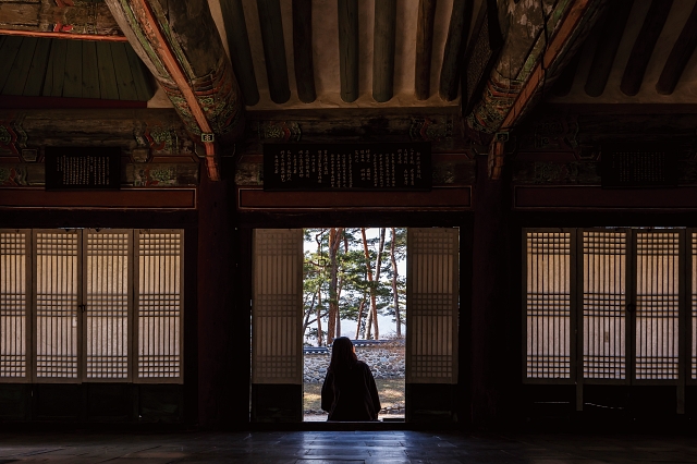 소수서원 강학당에서 내다본 소나무숲. 강학당에는 조선 명종이 친필로 하사했다는 ‘소수서원’ 현판이 걸려 있다. 사진 C영상미디어