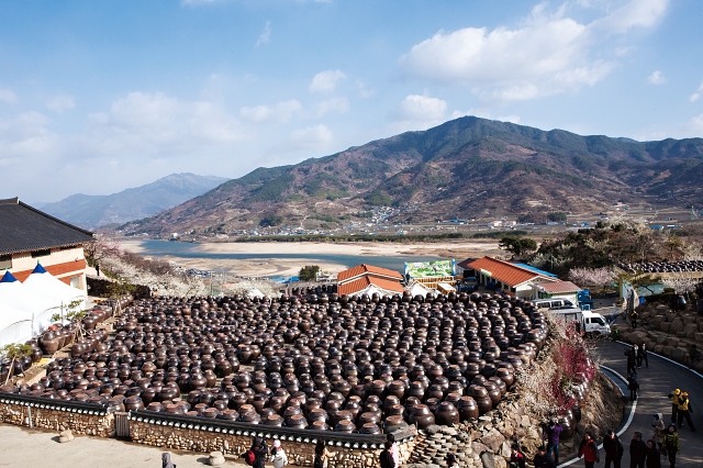 &lsquo;매실 명인&rsquo; 홍쌍리 씨가 조성한 청매실농원에선 섬진강을 배경으로 2000여 개의 장독이 늘어선 풍경을 볼 수 있다.