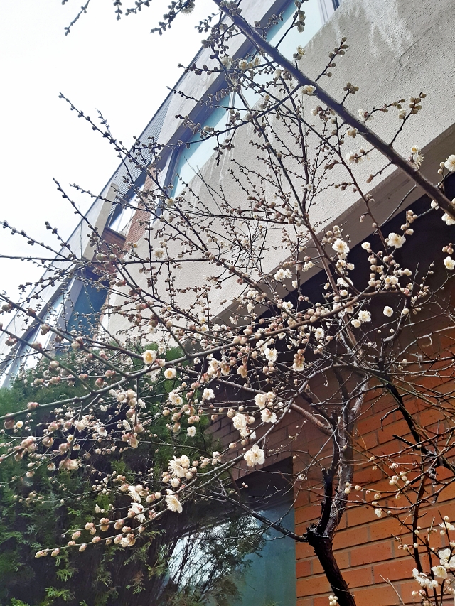 조정미