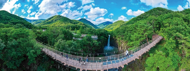 원시적인 풍광을 간직한 경기 연천군 ‘재인폭포공원’. 재인폭포 출렁다리는 재인폭포와 한탄강 협곡을 두루 감상할 수 있는 또 하나의 전망대다. 사진 연천군청