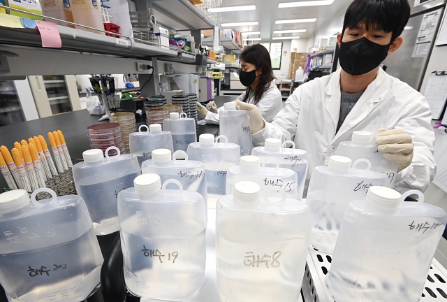 경기 수원시 경기도보건환경연구원 수인성질환팀 연구원들이 채수한 바닷물을 검사하고 있다. 사진 뉴시스