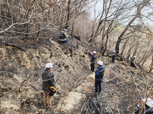 울산 울주군 산불 피해 현장에서 산불 피해지 긴급진단팀이 산사태 위험 진단을 하고 있다. 사진 산림청
