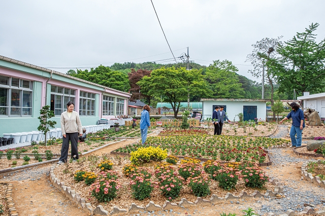 시니어클럽 회원들이 직접 가꾼 꽃밭도 과거 학교의 모습을 떠올리게 한다. 사진 C영상미디어