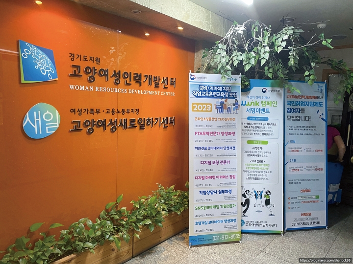 고양새일센터는 매년 4000명 이상의 취업자를 배출한다