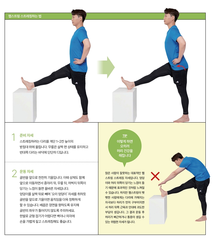 사진 안아파연구소의 ‘통증 제로 신경 스트레칭’(싸이프레스)