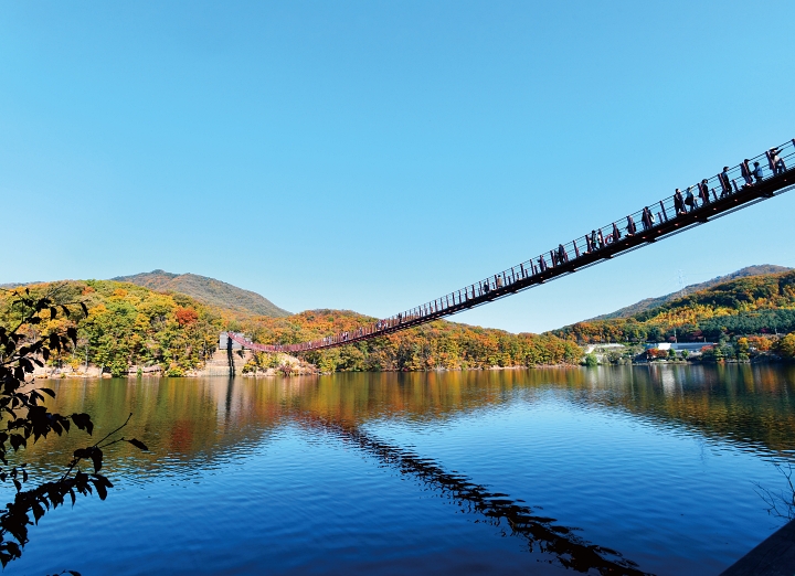 단풍 명소로 손꼽히는 경기 파주시 마장호수와 이곳을 가로지르는 길이 220m의 출렁다리를 탐방객들이 지나고 있다. 사진 파주도시관광공사