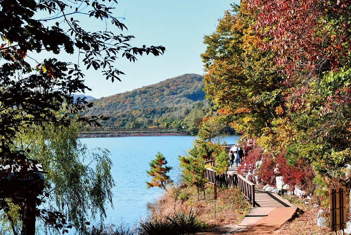 마장호수를 따라 걷는 총 4.5㎞의 둘레길은 계단 진입로를 제외하고 데크 길과 흙길 등이 이어져 걷는 맛을 느낄 수 있다. 사진 파주도시관광공사
