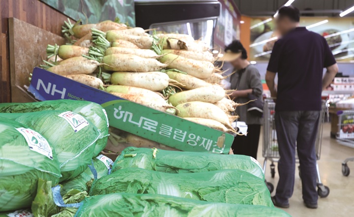 6월 1일 서울 소재 유통매장에서 배추&middot;무가 판매되고 있다. 농림축산식품부는 7월부터 출하되는 배추&middot;무의 공급량 감소에 대비해 현재 수량이 충분한 봄 배추&middot;무를 비축하고 있다. 사진 뉴시스