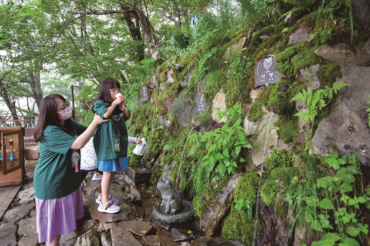 천연 암반수가 흐르는 발왕수가든에서 시원하게 목을 축이는 어린이들. 사진C영상미디어