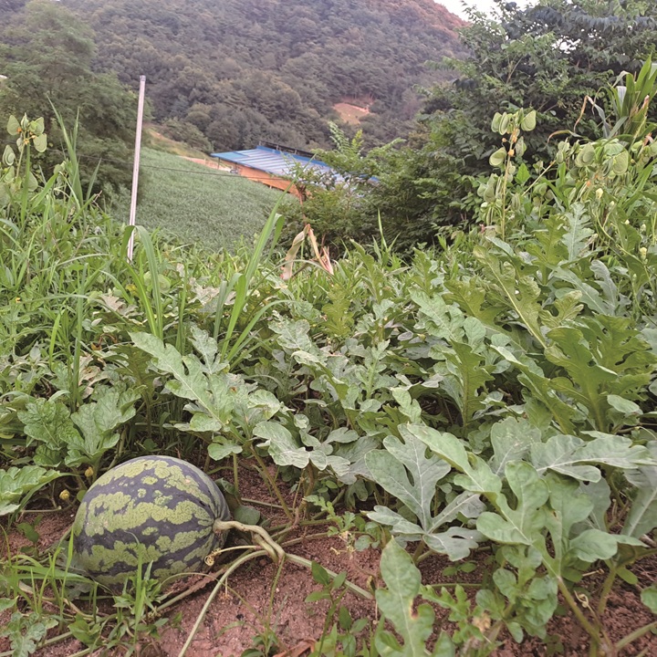 홍경석 대전 대덕구
