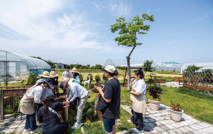 참가자들이 지피펠렛을 텃밭에 심은 뒤 흙을 덮고 있다.