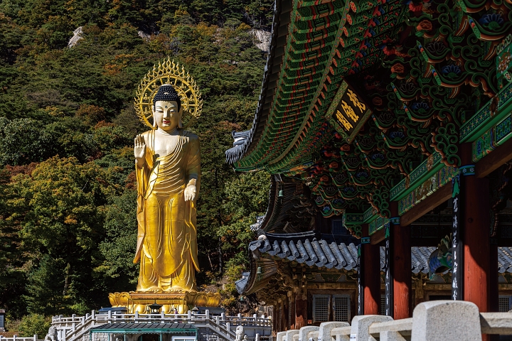 속리산 법주사의 상징인 금동미륵대불. 시대에 따라 시멘트, 청동, 금동불로 모습은 달라졌지만 법주사를 찾은 이들의 추억 한켠을 차지하고 있다. 사진 C영상미디어