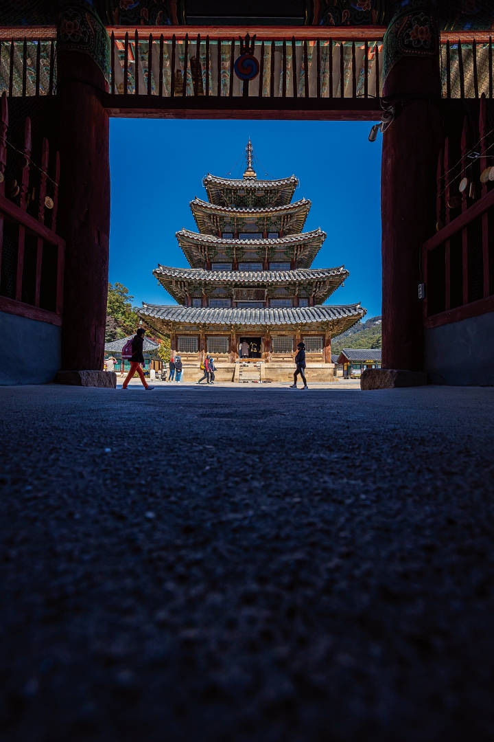 전국 단풍 명소로 꼽히는 충북 보은군 속리산 법주사는 사찰 전체가 불교 유산 박물관, 수장고와 같다. 그중 팔상전은 가장 높은 목조 건축물(높이 22.7m)로 유명하다. 사진 C영상미디어
