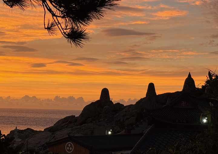 제룡단 방생터에서 바라본 해돋이 풍경. 사진 해동용궁사