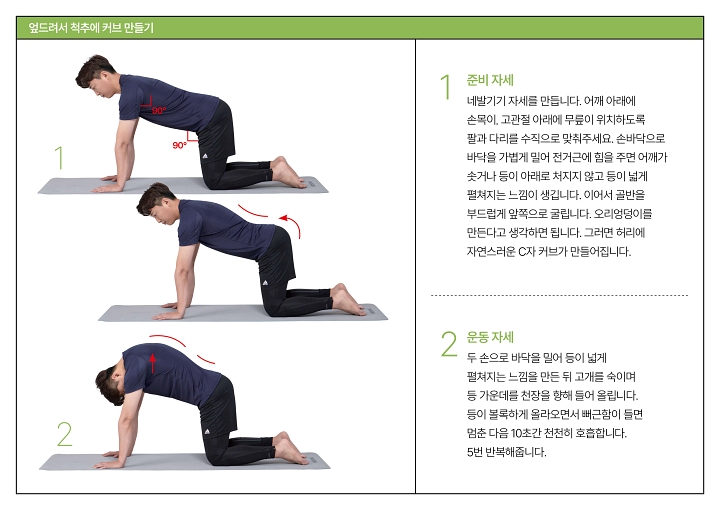 사진 안아파연구소의 ‘통증 제로 신경 스트레칭’(싸이프레스)