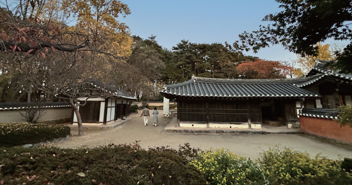 다양한 수종으로 둘러싸인 ‘허균·허난설헌기념공원’은 산책 맛집으로 꼽힌다