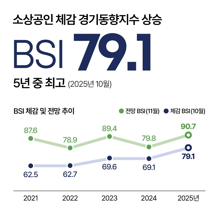 BSI 체감 및 전망 추이