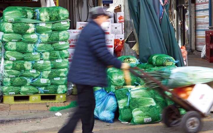 11월 17일 서울 동대문구 청량리농수산물시장에 김장 배추가 진열돼 있다. 사진 뉴시스