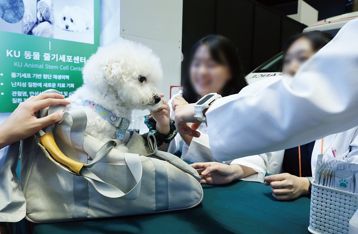서울 강남구 코엑스에서 열린 2025 케이펫페어 건국대학교 동물병원 부스에서 반려견이 상담을 받고 있다. 사진 뉴시스