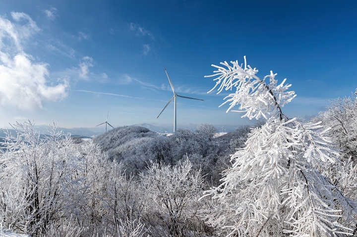 대관령 겨울 여행의 참맛은 순백의 설원과 마주했을 때다. 대관령의 3대 목장 중 하나인 &lsquo;대관령 삼양라운드힐&rsquo;(구 대관령삼양목장)의 설경. 사진 대관령 삼양라운드힐