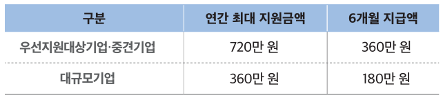 고용촉진장려금